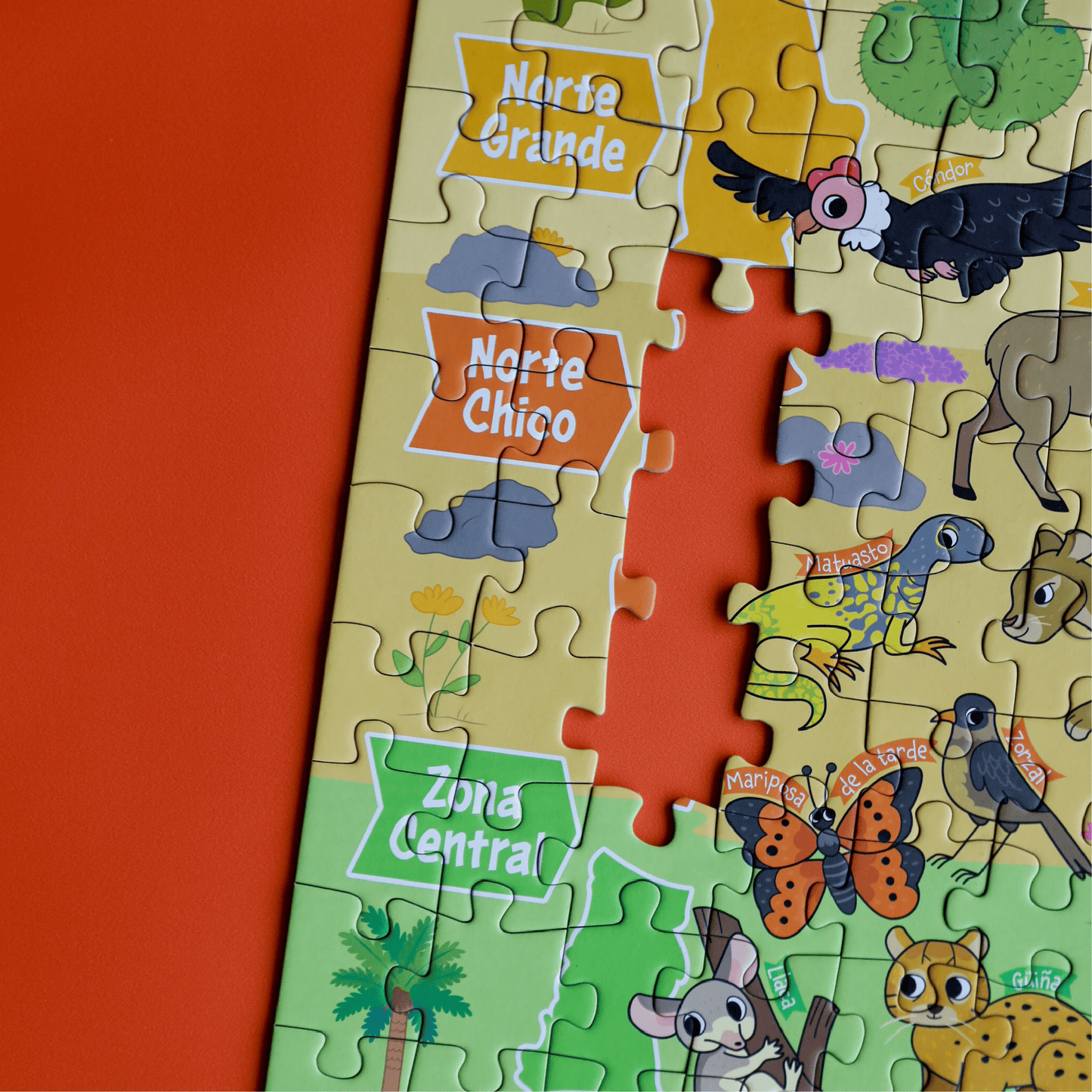 Puzzle Zonas de Chile 200 Piezas