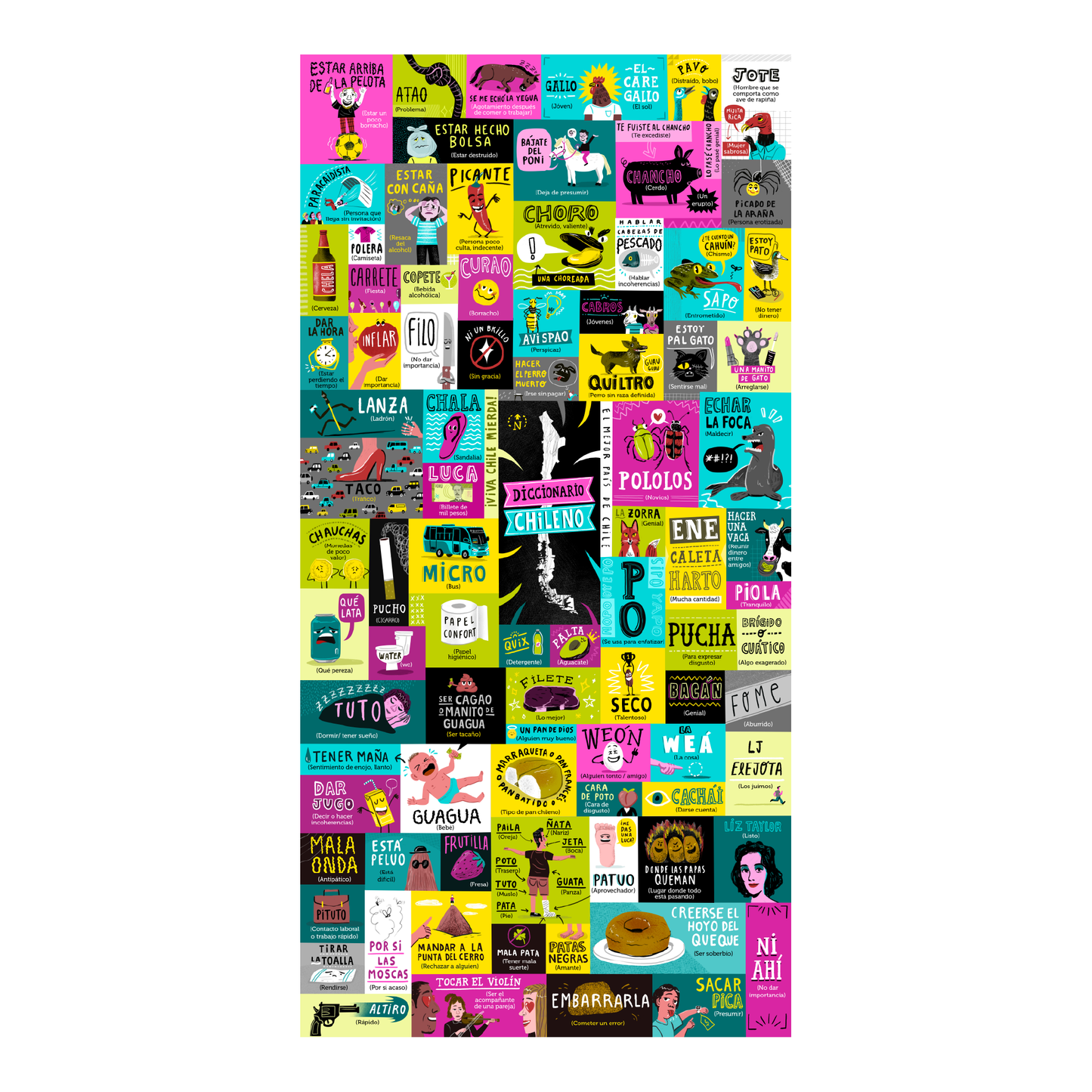 Puzzle Diccionario Chileno 1000 Piezas