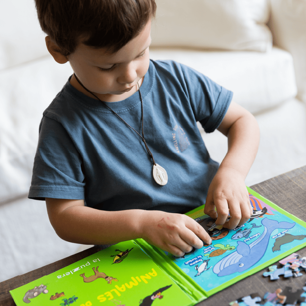 Pack Puzzle Magnético 75 Piezas (3 Libros/Puzzle)