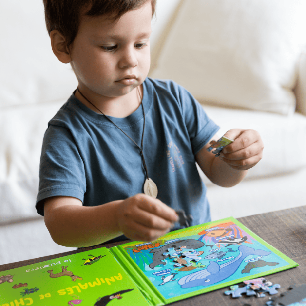 Pack Puzzle Magnético 75 Piezas (3 Libros/Puzzle)