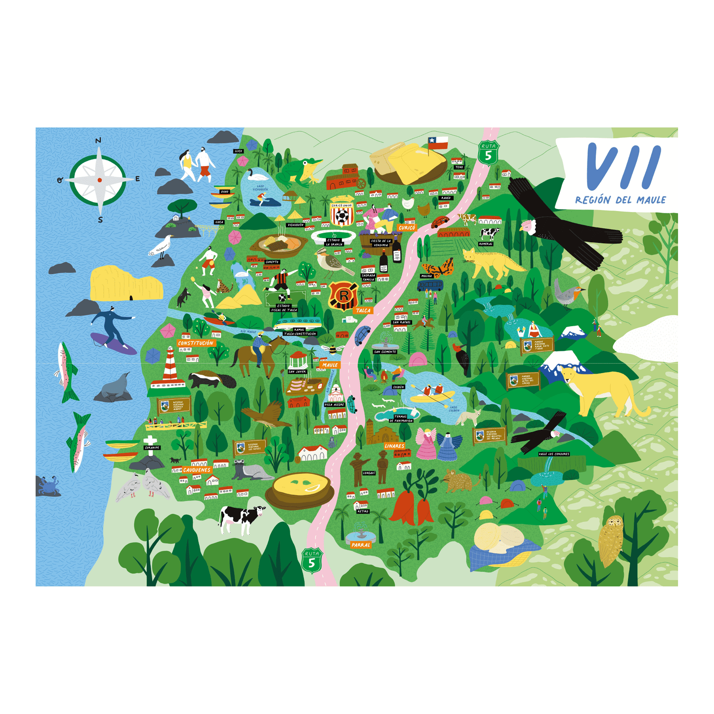 Puzzle Region del Maule 1000 Piezas