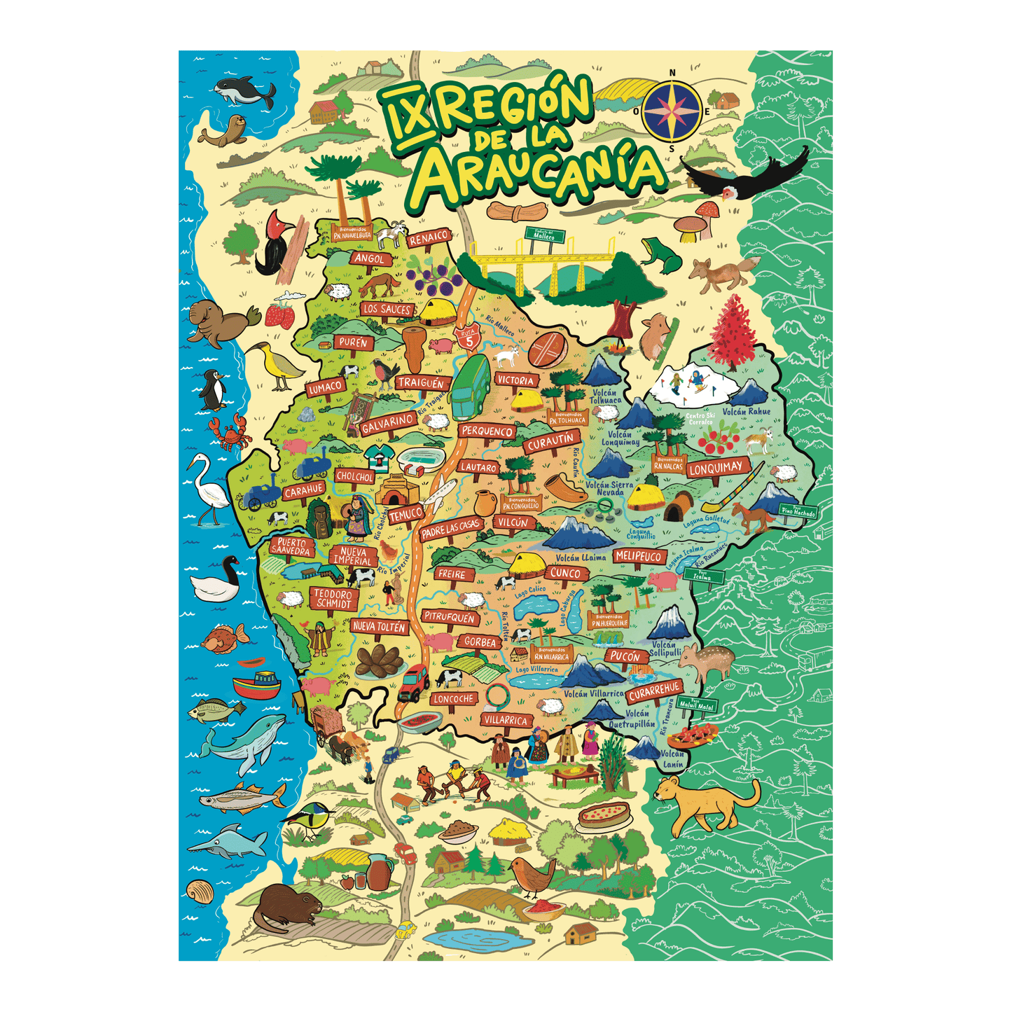 Puzzle Región de La Araucanía 1000 Piezas