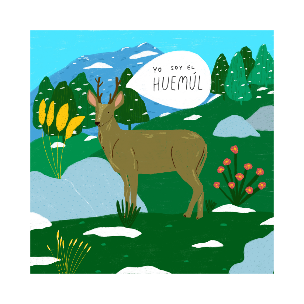 Pack Fauna de Chile 100 Piezas (4 Puzzles)