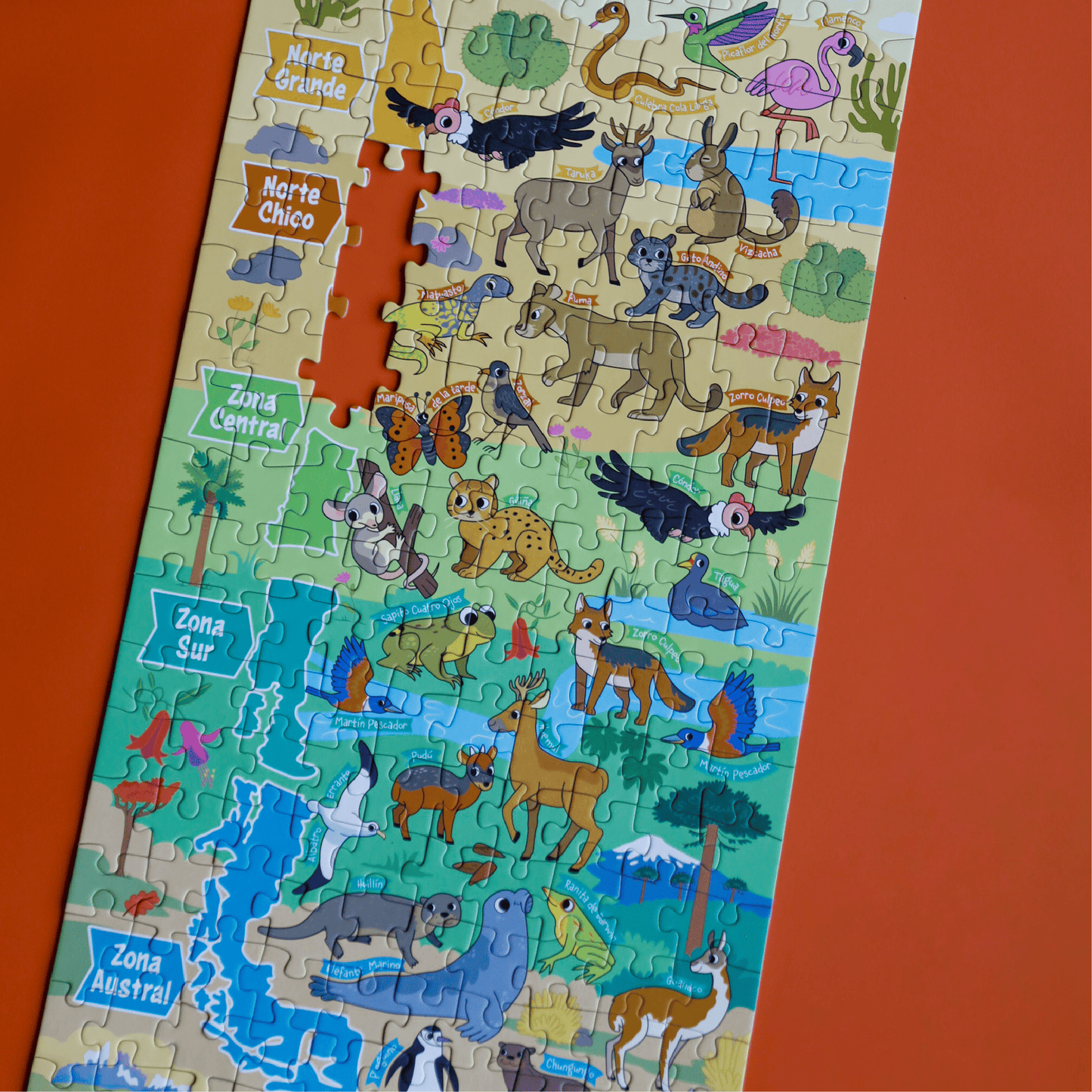 Puzzle Zonas de Chile 200 Piezas