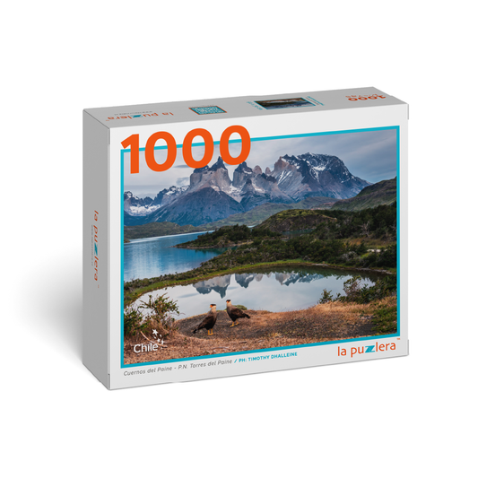 Puzzle Cuernos del Paine - P.N. Torres del Paine 1000 Piezas