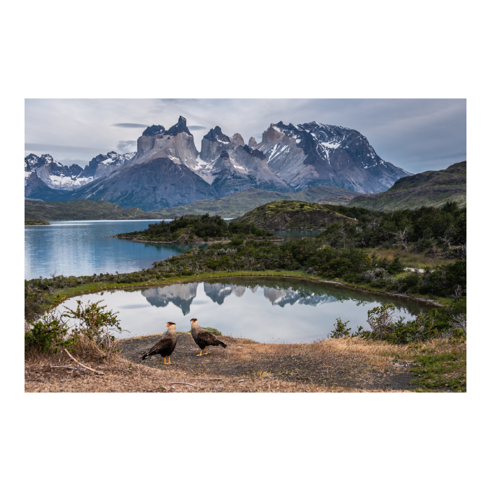 Puzzle Cuernos del Paine - P.N. Torres del Paine 1000 Piezas