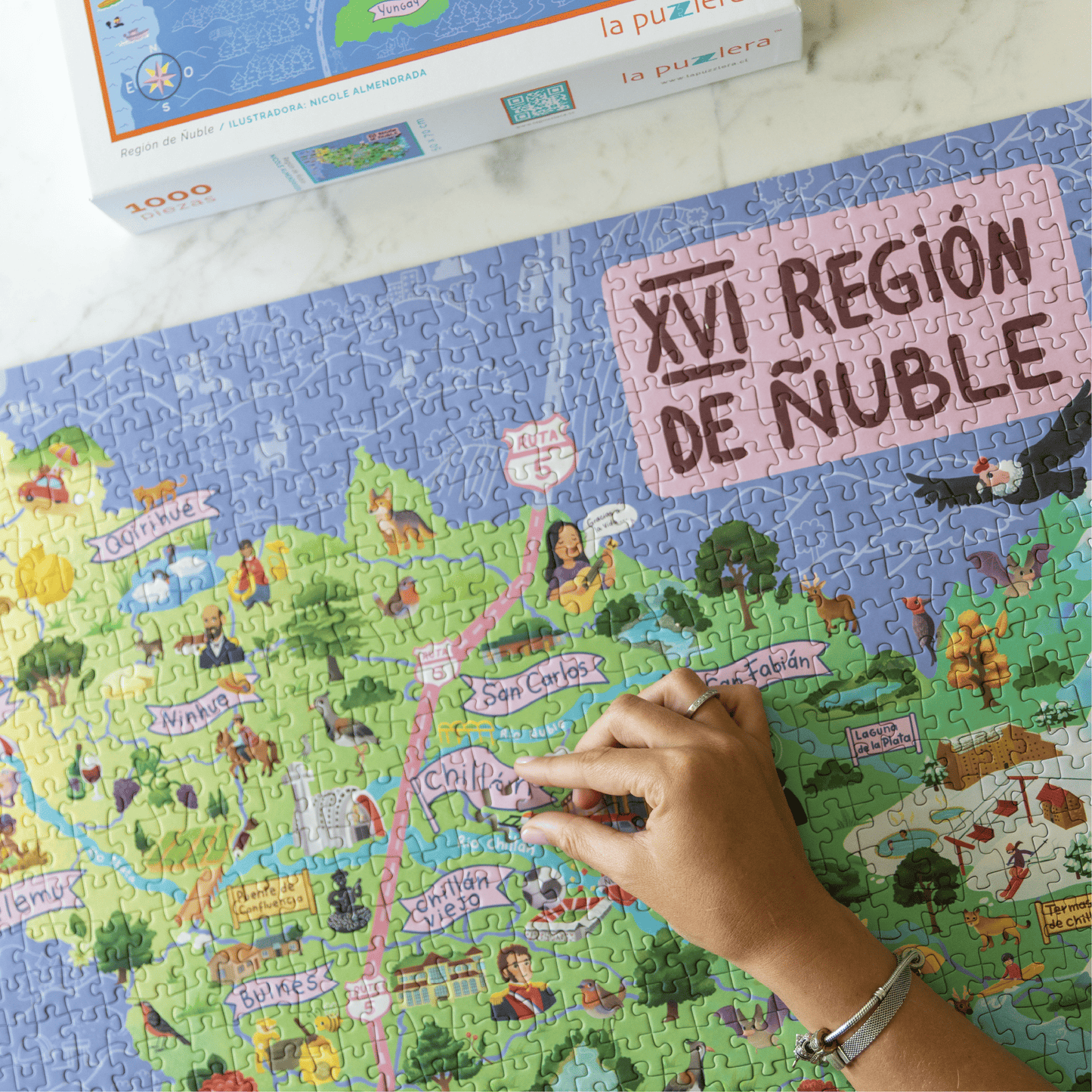 Puzzle Región del Ñuble 1000 Piezas