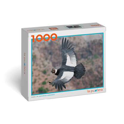 Puzzle Condor 1000 Piezas