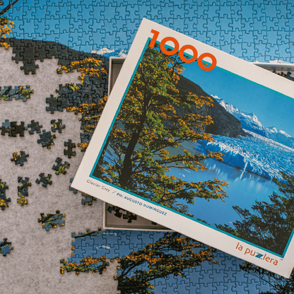 Puzzle Glaciar Grey 1000 Piezas