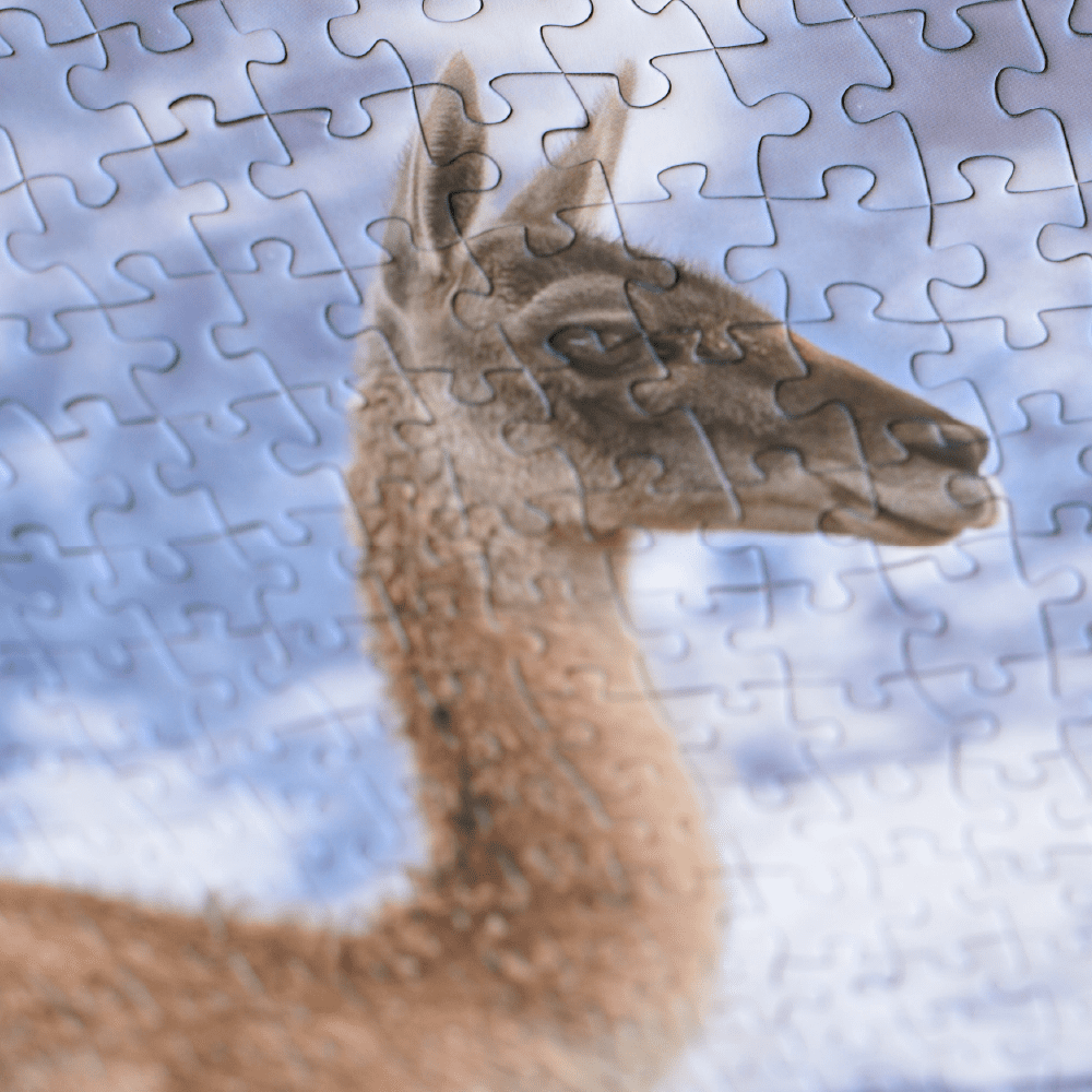 Puzzle Guanaco 1000 Piezas