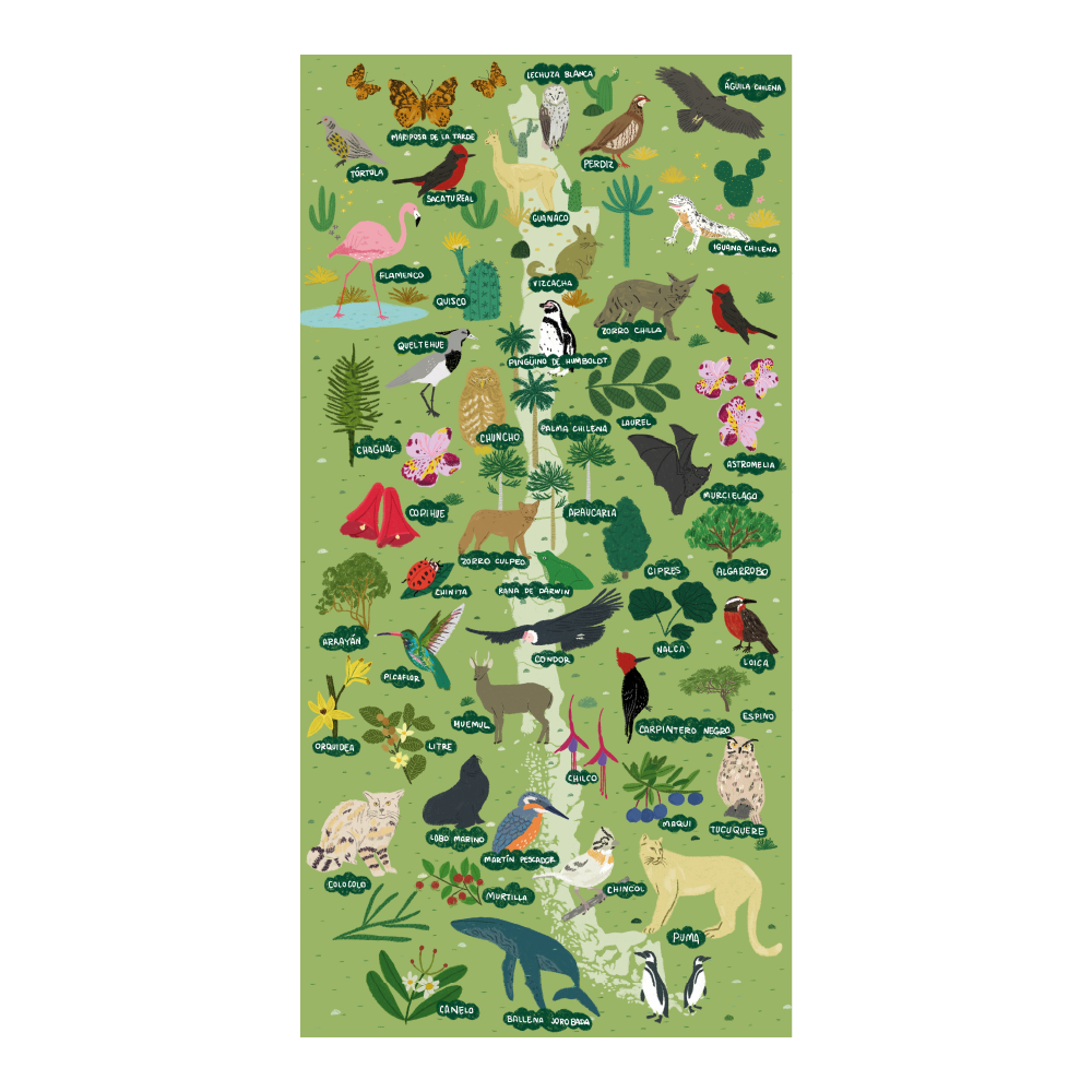 Puzzle Mapa de Chile Flora y Fauna 200 Piezas