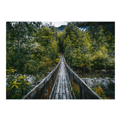 Puzzle Parque Nacional Alerce Andino 1000 Piezas