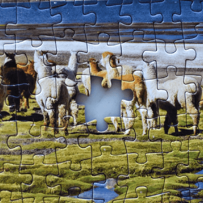 Puzzle Parque Nacional Lauca 1000 Piezas