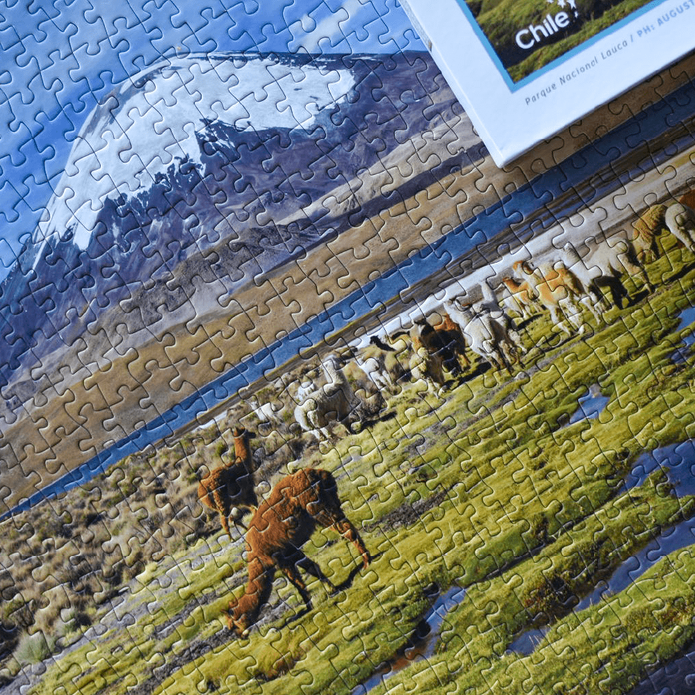 Puzzle Parque Nacional Lauca 1000 Piezas