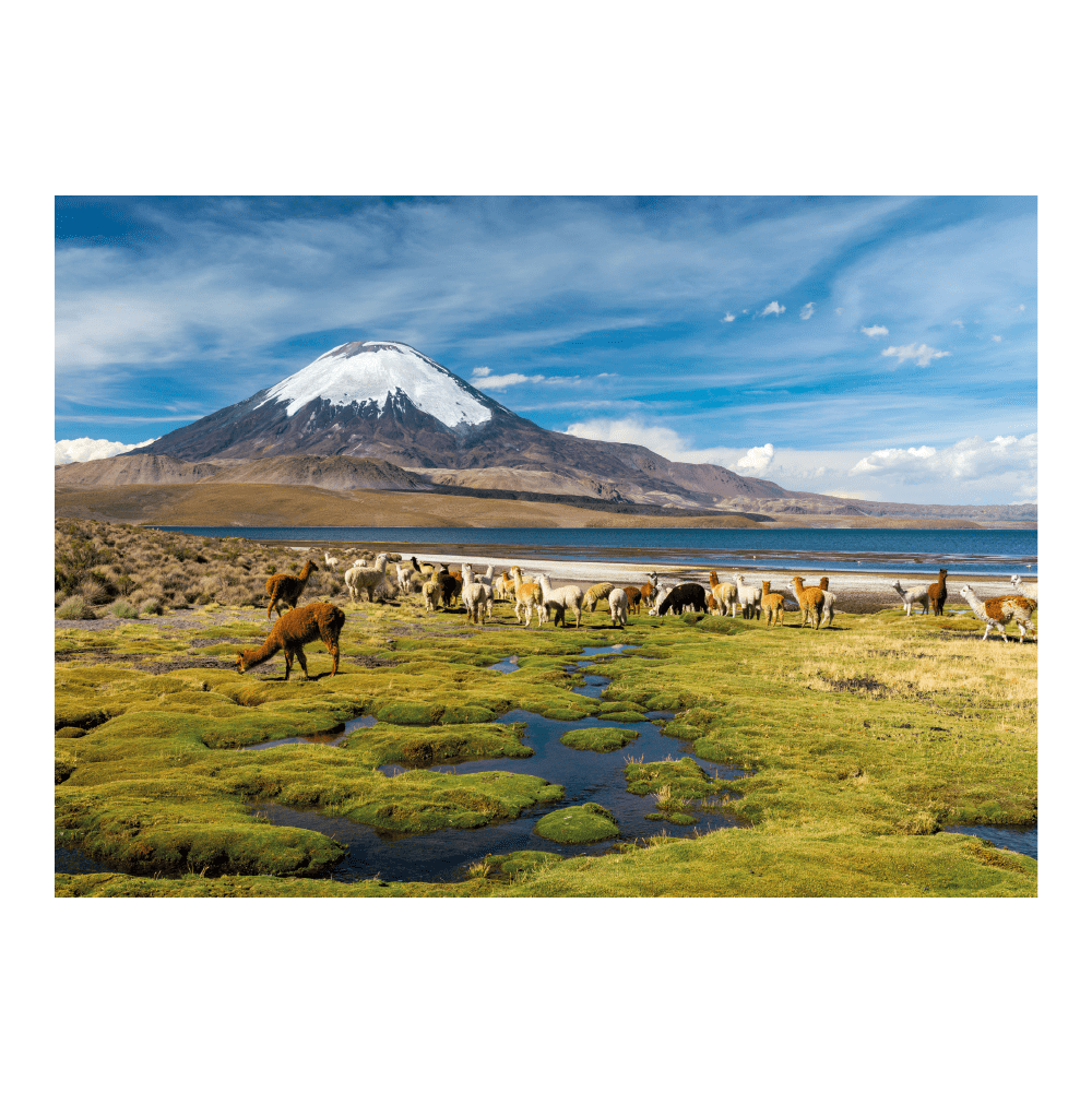 Puzzle Parque Nacional Lauca 1000 Piezas