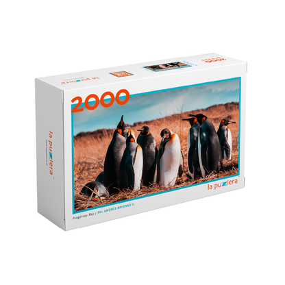 Puzzle Pinguino Rey 2000 Piezas