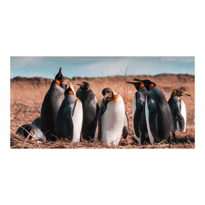 Puzzle Pinguino Rey 2000 Piezas